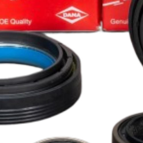 Ford Super Duty Dana 50/60 Outer Axle Seal Kit